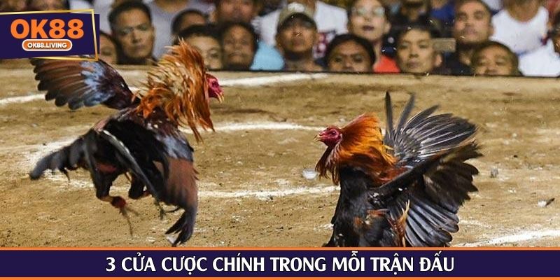 3 cửa cược chính trong mỗi trận đấu