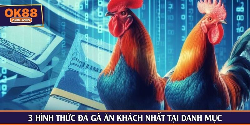 3 hình thức đá gà ăn khách nhất tại danh mục