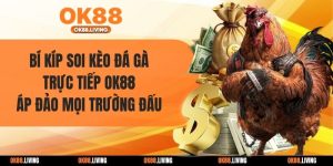 Bí Kíp Soi Kèo Đá Gà Trực Tiếp OK88 Áp Đảo Mọi Trường Đấu