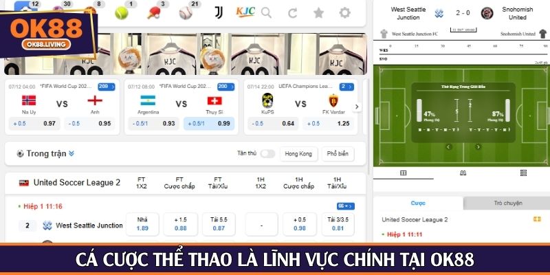 Cá cược thể thao là lĩnh vực chính tại OK88