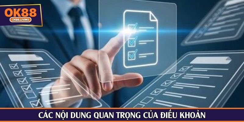 Các nội dung quan trọng của điều khoản