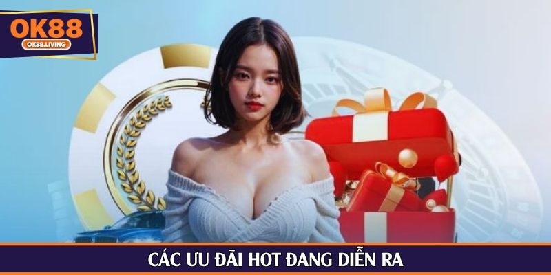 Các ưu đãi hot đang diễn ra