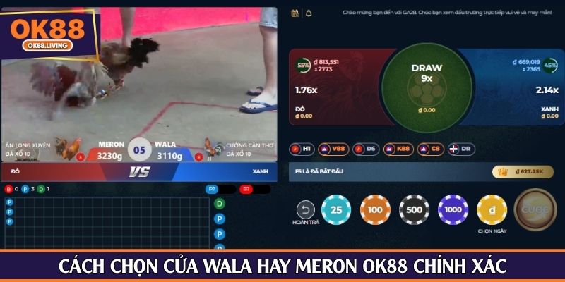 Cách chọn cửa Wala hay Meron OK88 chính xác