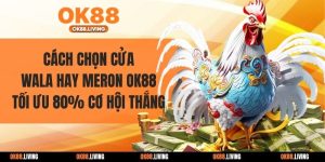 Cách chọn cửa Wala hay Meron OK88