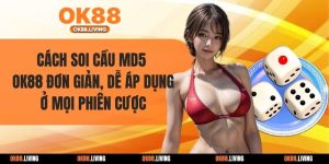 Cách Soi Cầu MD5 OK88 Đơn Giản, Dễ Áp Dụng Ở Mọi Phiên Cược