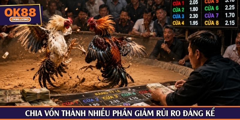 Chia vốn thành nhiều phần giảm rủi ro đáng kể