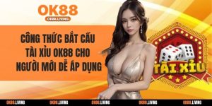Công Thức Bắt Cầu Tài Xỉu OK88 Cho Người Mới Dễ Áp Dụng