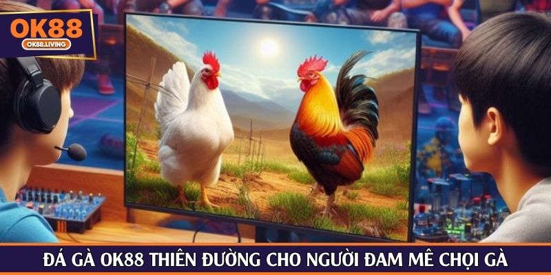 Đá gà OK88 thiên đường cho người đam mê chọi gà