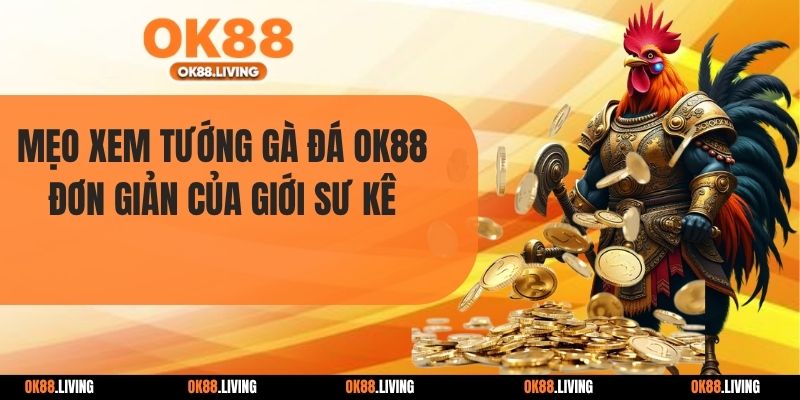 Mẹo Xem Tướng Gà Đá OK88 Đơn Giản Của Giới Sư Kê