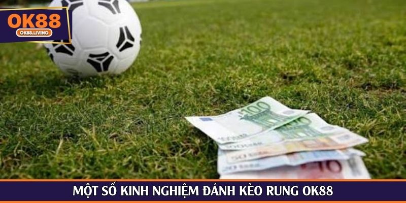 Một số kinh nghiệm đánh kèo rung OK88