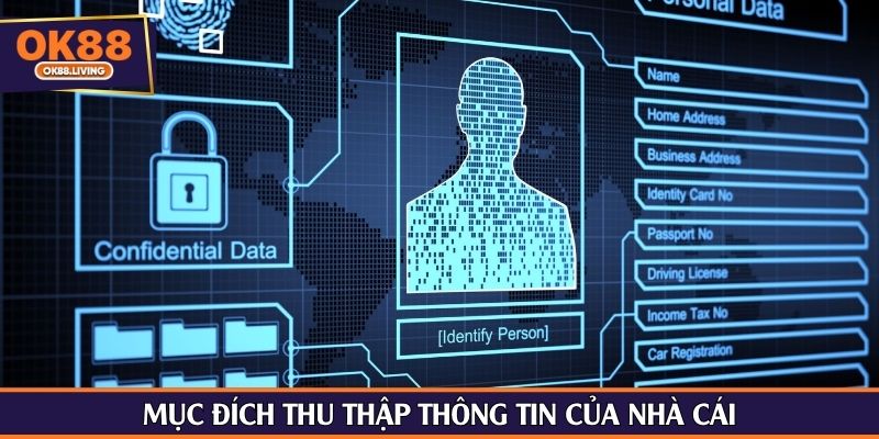 Mục đích thu thập thông tin của nhà cái