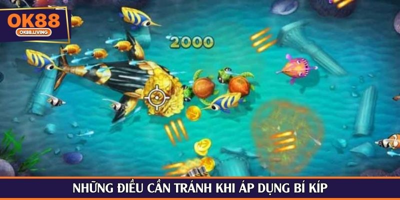 Những điều cần tránh khi áp dụng bí kíp