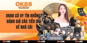 OK88 Có Uy Tín Không? Đánh Giá Các Tiêu Chí Về Nhà Cái