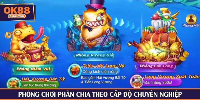 Phòng chơi phân chia theo cấp độ chuyên nghiệp