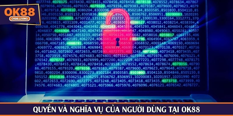 Quyền và nghĩa vụ của người dùng tại OK88