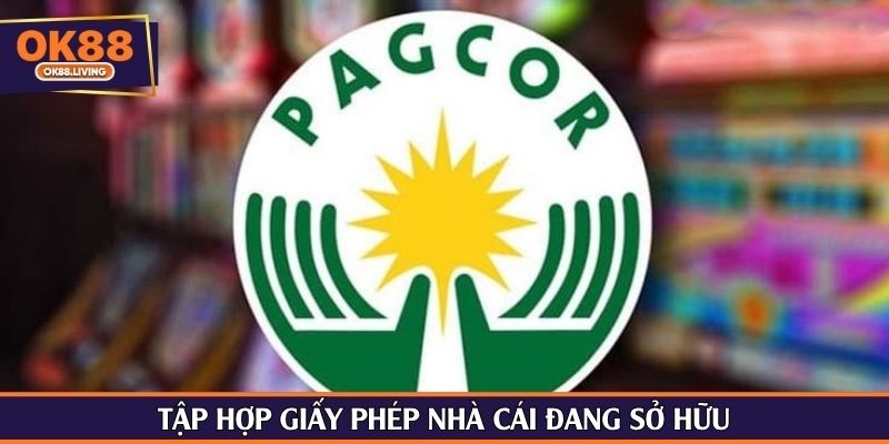 Tập hợp giấy phép nhà cái đang sở hữu